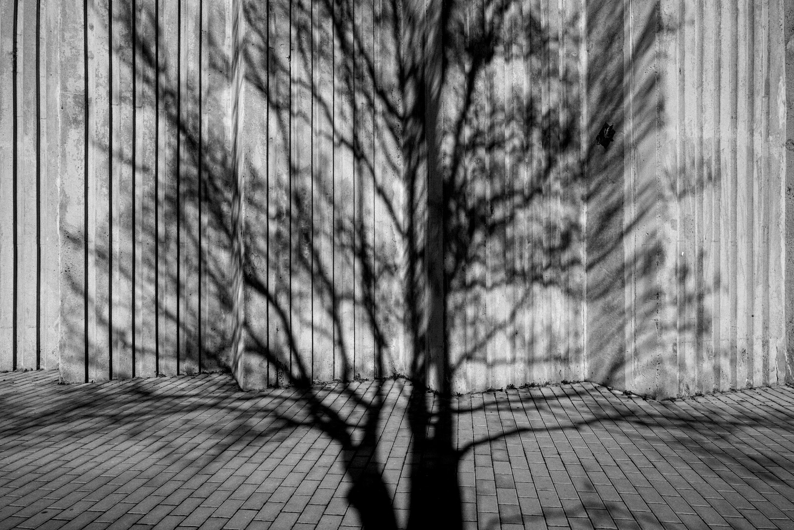 Galerie 3 — 6