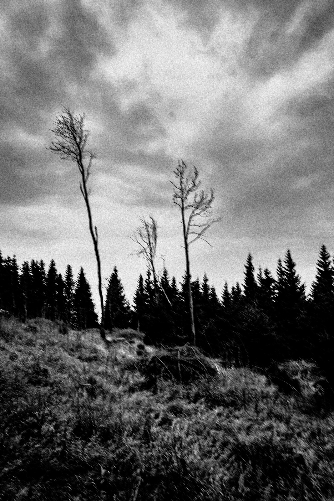 Galerie 3 — 14